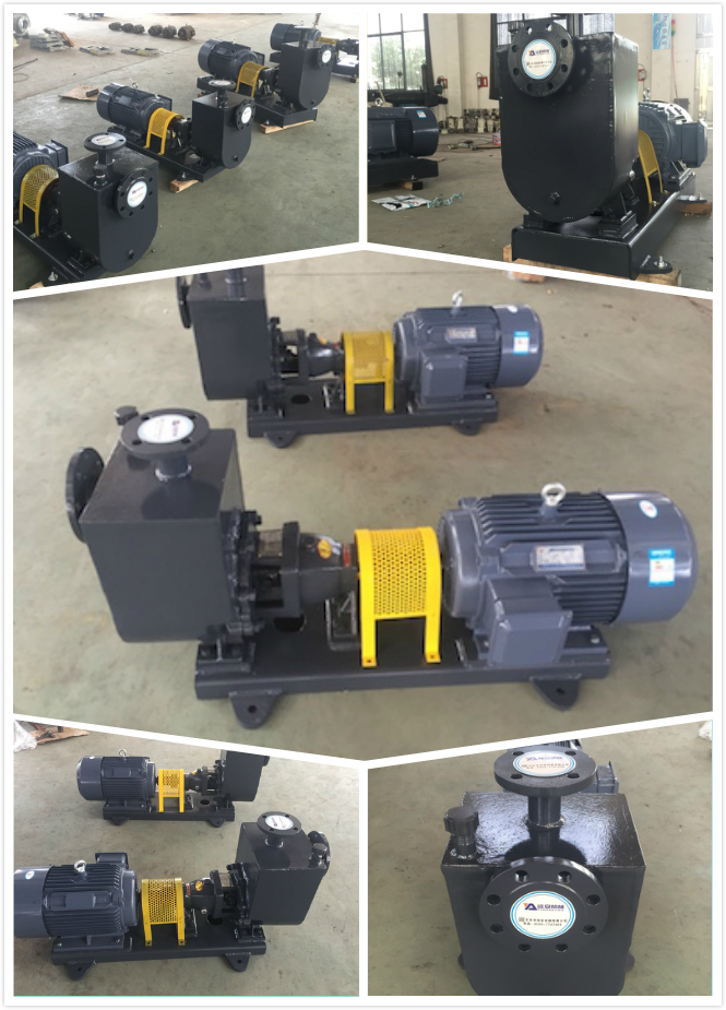 14641452698361.jpg ZH自吸泵多.jpg